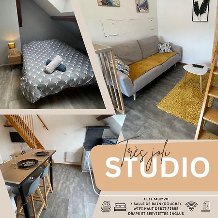 Superbe Studio A Proximite Du Centre-Ville Saint-Dié-des-Vosges Kültér fotó